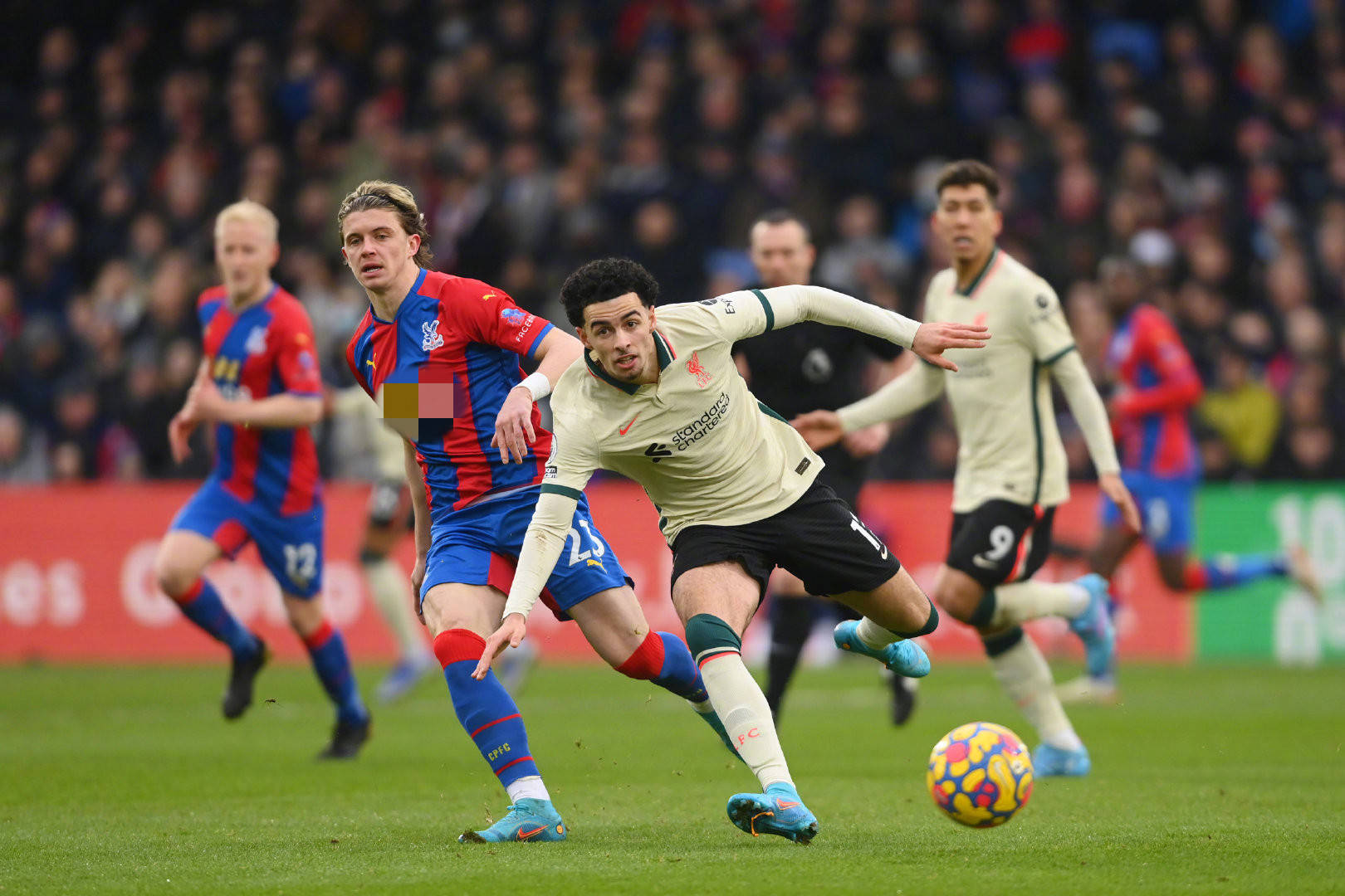 也再次见证 也再次见证