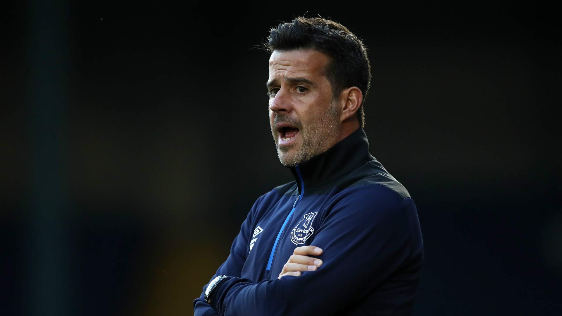 与之相似 与之相似